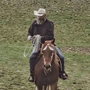 Meet your Posher, Jason